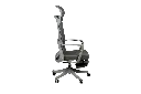 FG-Chair FY-15